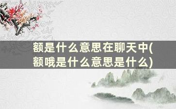 额是什么意思在聊天中(额哦是什么意思是什么)