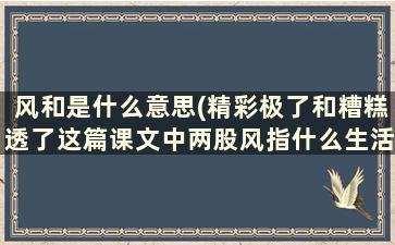 风和是什么意思(精彩极了和糟糕透了这篇课文中两股风指什么生活的小船指什么)