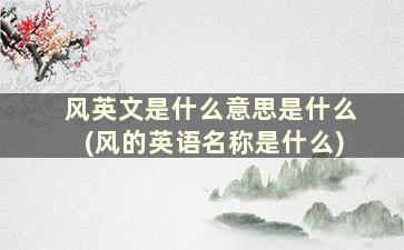 风英文是什么意思是什么(风的英语名称是什么)