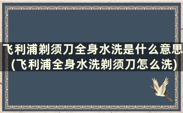 飞利浦剃须刀全身水洗是什么意思(飞利浦全身水洗剃须刀怎么洗)