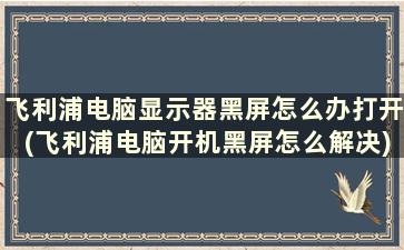 飞利浦电脑显示器黑屏怎么办打开(飞利浦电脑开机黑屏怎么解决)