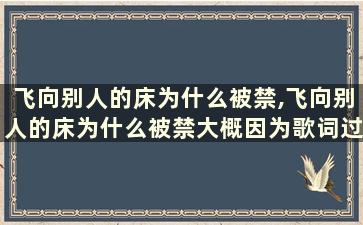 飞向别人的床为什么被禁,飞向别人的床为什么被禁大概因为歌词过于直白