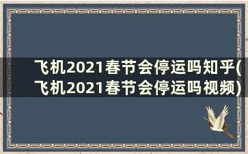 飞机2021春节会停运吗知乎(飞机2021春节会停运吗视频)