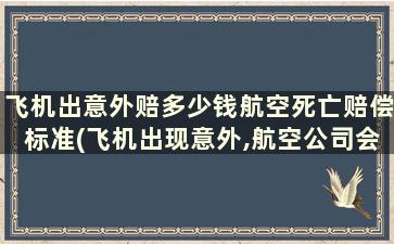 飞机出意外赔多少钱航空死亡赔偿标准(飞机出现意外,航空公司会赔偿多少)