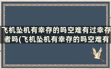 飞机坠机有幸存的吗空难有过幸存者吗(飞机坠机有幸存的吗空难有过幸存者吗视频)