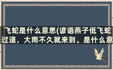 飞蛇是什么意思(谚语燕子低飞蛇过道，大雨不久就来到。是什么意思)