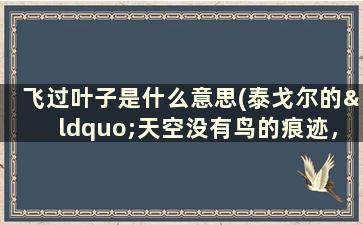 飞过叶子是什么意思(泰戈尔的“天空没有鸟的痕迹，但我已飞过”含义是什么)