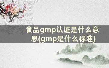 食品gmp认证是什么意思(gmp是什么标准)