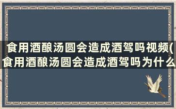 食用酒酿汤圆会造成酒驾吗视频(食用酒酿汤圆会造成酒驾吗为什么)