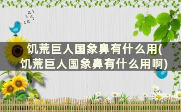 饥荒巨人国象鼻有什么用(饥荒巨人国象鼻有什么用啊)