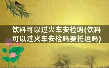 饮料可以过火车安检吗(饮料可以过火车安检吗要托运吗)