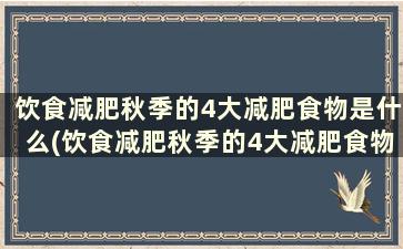 饮食减肥秋季的4大减肥食物是什么(饮食减肥秋季的4大减肥食物是)