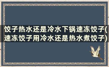 饺子热水还是冷水下锅速冻饺子(速冻饺子用冷水还是热水煮饺子)