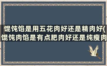 馄饨馅是用五花肉好还是精肉好(馄饨肉馅是有点肥肉好还是纯瘦肉)