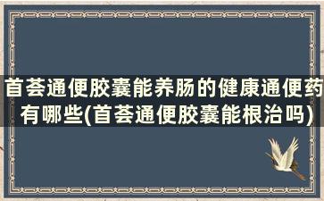 首荟通便胶囊能养肠的健康通便药有哪些(首荟通便胶囊能根治吗)