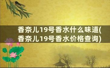 香奈儿19号香水什么味道(香奈儿19号香水价格查询)