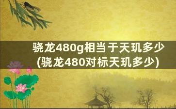 骁龙480g相当于天玑多少(骁龙480对标天玑多少)