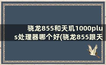 骁龙855和天玑1000plus处理器哪个好(骁龙855跟天玑1100那个好)