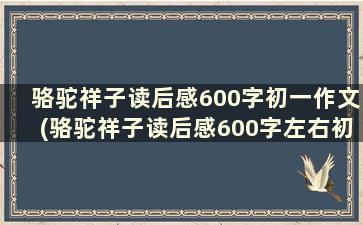 骆驼祥子读后感600字初一作文(骆驼祥子读后感600字左右初三水平)