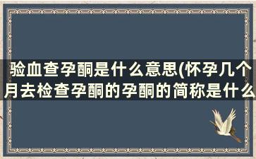 验血查孕酮是什么意思(怀孕几个月去检查孕酮的孕酮的简称是什么)