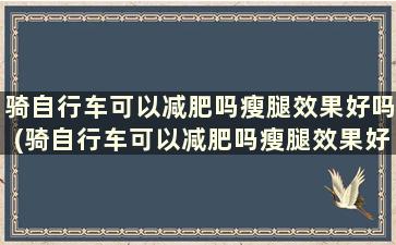 骑自行车可以减肥吗瘦腿效果好吗(骑自行车可以减肥吗瘦腿效果好吗男生)