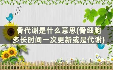 骨代谢是什么意思(骨细胞多长时间一次更新或是代谢)