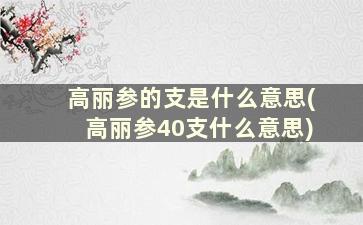 高丽参的支是什么意思(高丽参40支什么意思)