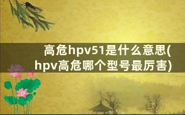 高危hpv51是什么意思(hpv高危哪个型号最厉害)