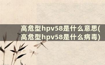 高危型hpv58是什么意思(高危型hpv58是什么病毒)