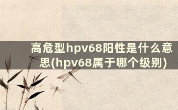 高危型hpv68阳性是什么意思(hpv68属于哪个级别)