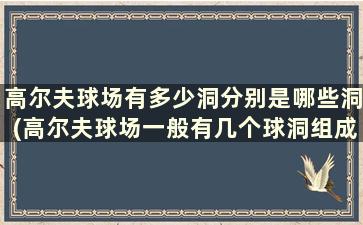 高尔夫球场有多少洞分别是哪些洞(高尔夫球场一般有几个球洞组成)