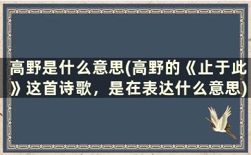 高野是什么意思(高野的《止于此》这首诗歌，是在表达什么意思)