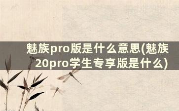 魅族pro版是什么意思(魅族20pro学生专享版是什么)