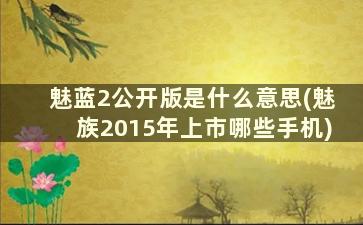 魅蓝2公开版是什么意思(魅族2015年上市哪些手机)