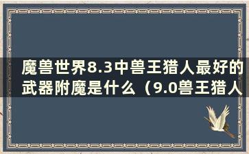 魔兽世界8.3中兽王猎人最好的武器附魔是什么（9.0兽王猎人附魔选项）