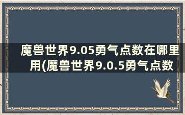 魔兽世界9.05勇气点数在哪里用(魔兽世界9.0.5勇气点数怎么用)