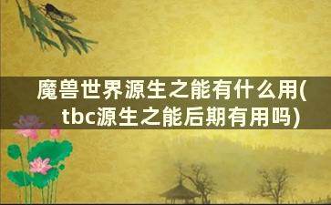 魔兽世界源生之能有什么用(tbc源生之能后期有用吗)