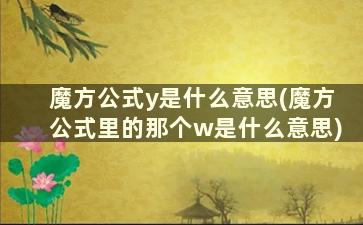 魔方公式y是什么意思(魔方公式里的那个w是什么意思)