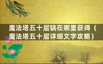 魔法塔五十层镐在哪里获得（魔法塔五十层详细文字攻略）