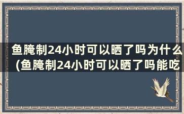 鱼腌制24小时可以晒了吗为什么(鱼腌制24小时可以晒了吗能吃吗)