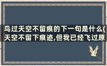 鸟过天空不留痕的下一句是什么(天空不留下痕迹,但我已经飞过原句)