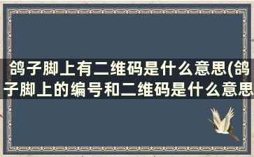 鸽子脚上有二维码是什么意思(鸽子脚上的编号和二维码是什么意思)