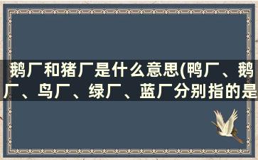 鹅厂和猪厂是什么意思(鸭厂、鹅厂、鸟厂、绿厂、蓝厂分别指的是那几个互联网公司)