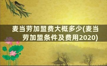 麦当劳加盟费大概多少(麦当劳加盟条件及费用2020)