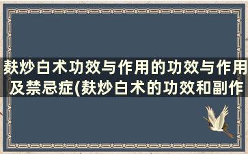 麸炒白术功效与作用的功效与作用及禁忌症(麸炒白术的功效和副作用)