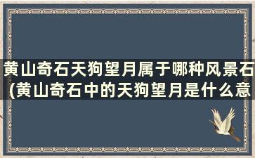 黄山奇石天狗望月属于哪种风景石(黄山奇石中的天狗望月是什么意思)