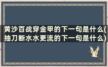 黄沙百战穿金甲的下一句是什么(抽刀断水水更流的下一句是什么)