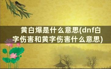 黄白爆是什么意思(dnf白字伤害和黄字伤害什么意思)