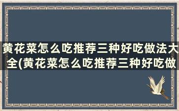 黄花菜怎么吃推荐三种好吃做法大全(黄花菜怎么吃推荐三种好吃做法)