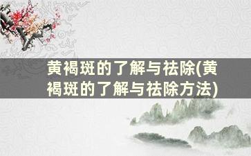 黄褐斑的了解与祛除(黄褐斑的了解与祛除方法)